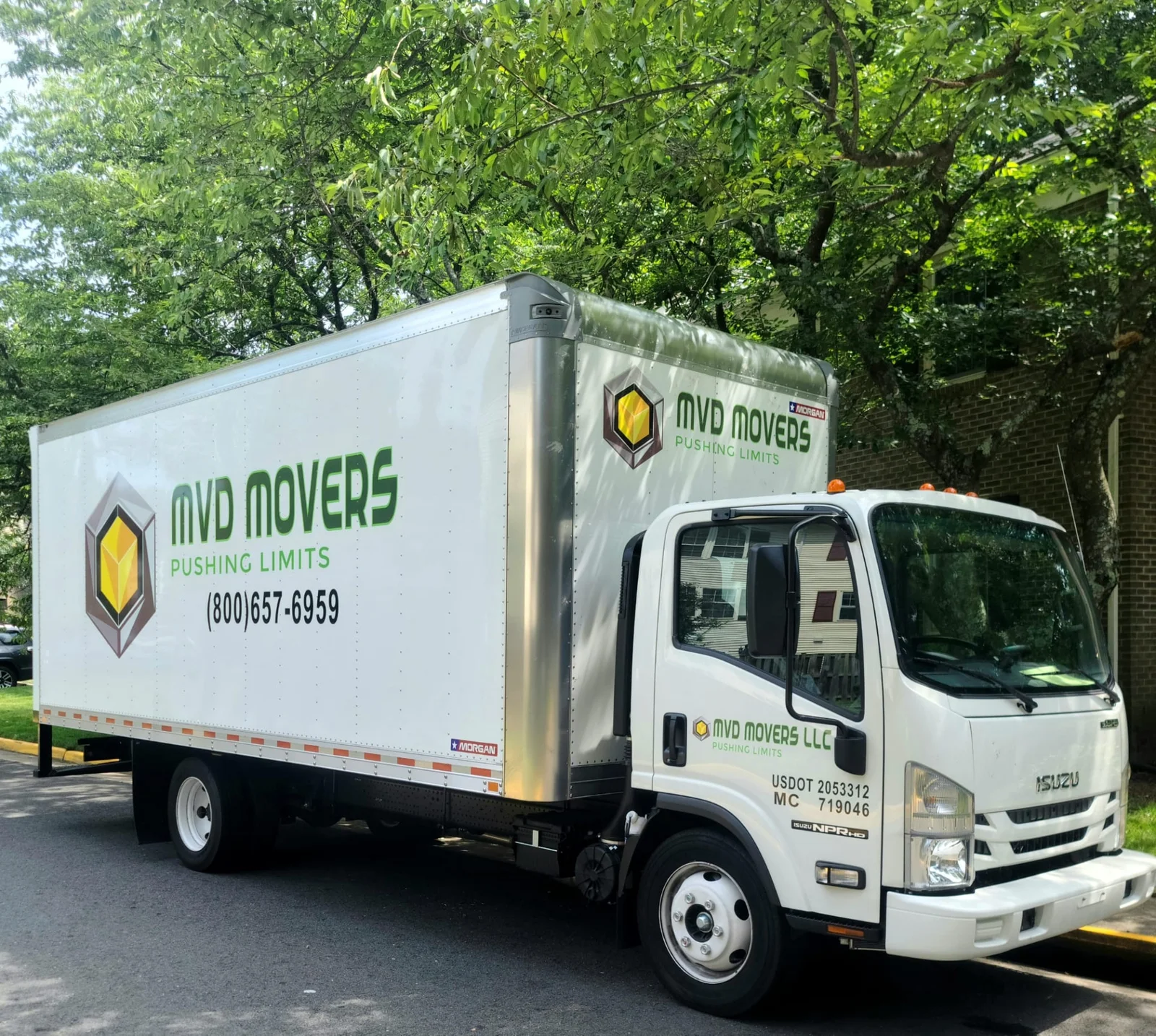 Professional Moving Services